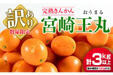 先行予約 訳あり 完熟 きんかん 宮崎王丸 計3kg以上 傷み補償分付き  数量限定 期間限定 フルーツ 果物 くだもの 柑橘 金柑 訳アリ おすすめ おすそ分け ご家庭用 ご自宅用 お取り寄せ 国産 食品 デザート おやつ 甘露煮 産地直送 宮崎県 日南市 送料無料_B245-25