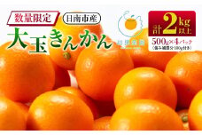 食べ応え抜群 大玉 きんかん 計2kg以上 傷み補償分付き 数量限定 期間限定 フルーツ 果物 くだもの 柑橘 金柑 先行予約 国産 希少 人気 おすすめ ジャム おやつ デザート 小分け おすそ分け 贈り物 ギフト 贈答 ご褒美 産地直送 宮崎県 日南市 送料無料_BB161-25