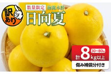 先行予約 訳あり 海藻木酢 日向夏 小夏 計8kg以上 傷み補償分付き 期間限定 数量限定 フルーツ 果物 くだもの 柑橘 みかん 訳アリ 国産 食品 デザート おやつ おすそ分け おすすめ ご家庭用 ご自宅用 B品 傷 マーマレード 産地直送 宮崎県 日南市 送料無料_BA80-24