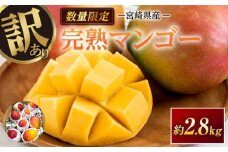 訳あり 宮崎県産 完熟マンゴー 約2.8kg 期間限定 数量限定 フルーツ 果物 くだもの 国産 食品 デザート おやつ フルーツサンド おすすめ ご褒美 贅沢 産地直送 傷 規格外 訳アリ おすそ分け 家庭用 冷蔵 宮崎県 日南市 送料無料_F77-24