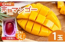 特大5Lサイズ 宮崎県産 完熟マンゴー 1玉 化粧箱入り 令和8年発送分 期間限定 数量限定 フルーツ 果物 くだもの 国産 食品 デザート おすすめ ご褒美 贅沢 産地直送 特大 希少 お祝 お土産 プレゼント ギフト 贈り物 宮崎県 日南市 送料無料_C107-23