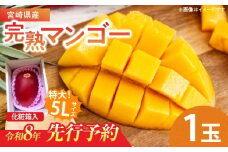 特大5Lサイズ 宮崎県産 完熟マンゴー 1玉 化粧箱入り 令和8年発送分 期間限定 数量限定 フルーツ 果物 くだもの 国産 食品 デザート おすすめ ご褒美 贅沢 産地直送 特大 希少 お祝 お土産 プレゼント ギフト 贈り物 宮崎県 日南市 送料無料_C107-23