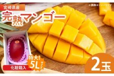 特大5Lサイズ 宮崎県産 完熟マンゴー 2玉 化粧箱入り 令和8年発送分 期間限定 数量限定 フルーツ 果物 くだもの 国産 食品 デザート おすすめ ご褒美 贅沢 産地直送 特大 希少 お祝 お土産 プレゼント ギフト 贈り物 宮崎県 日南市 送料無料_E48-24
