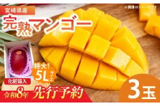特大5Lサイズ 宮崎県産 完熟マンゴー 3玉 化粧箱入り 令和8年発送分 期間限定 数量限定 フルーツ 果物 くだもの 国産 食品 デザート おすすめ ご褒美 贅沢 産地直送 特大 希少 お祝 お土産 プレゼント ギフト 贈り物 宮崎県 日南市 送料無料_FF7-24
