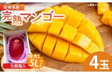 特大5Lサイズ 宮崎県産 完熟マンゴー 4玉 化粧箱入り 令和8年発送分 期間限定 数量限定 フルーツ 果物 くだもの 国産 食品 デザート おすすめ ご褒美 贅沢 産地直送 特大 希少 お祝 お土産 プレゼント ギフト 贈り物 宮崎県 日南市 送料無料_GF1-24