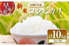 2週間以内に発送 早場米 新米 コシヒカリ 計10kg 期間限定 日南市産 お米 ご飯 ライス 国産 令和7年産 人気 食品 精米 白米 こしひかり 有洗米 おにぎり お弁当 炊き込みご飯 雑炊 ギフト 贈り物 贈答 産地直送 宮崎県 日南市 送料無料_FA11-25