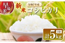 2週間以内に発送 早場米 令和7年産 新米 コシヒカリ 計5kg 米 期間限定 日南市産 お米 ご飯 ライス 国産 人気 食品 精米 白米 こしひかり 有洗米 おすすめ おにぎり お弁当 炊き込みご飯 雑炊 ギフト 贈り物 産地直送 宮崎県 日南市 送料無料_CA79-25