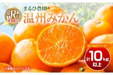 訳あり 温州 みかん 計10kg以上 傷み補償分付き まるひ農園 期間限定 数量限定 フルーツ 果物 くだもの 柑橘 ミカン 国産 食品 デザート おやつ 人気 スイーツ おすすめ ご家庭用 訳アリ ワケあり おすそ分け 新鮮 産地直送 宮崎県 日南市 送料無料_BAV8-25