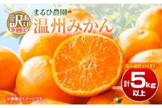 訳あり 温州 みかん 計5kg以上 傷み補償分付き まるひ農園 期間限定 数量限定 フルーツ 果物 くだもの 柑橘 ミカン 国産 食品 デザート おやつ 人気 スイーツ おすすめ ご家庭用 訳アリ ワケあり おすそ分け 新鮮 産地直送 宮崎県 日南市 送料無料_ZZV2-25