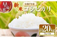 2週間以内に発送 早場米 新米 コシヒカリ 計20kg 期間限定 日南市産 お米 ご飯 ライス 国産 令和7年産 人気 食品 精米 白米 こしひかり 有洗米 おにぎり お弁当 炊き込みご飯 雑炊 ギフト 贈り物 贈答 産地直送 宮崎県 日南市 送料無料_I30-25