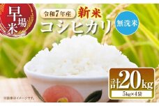2週間以内に発送 無洗米 令和7年産 新米 コシヒカリ 計20kg 米 期間限定 宮崎県産 お米 ご飯 ライス 国産 人気 食品 精米 白米 こしひかり おにぎり お弁当 炊き込みご飯 雑炊 ギフト 贈り物 お取り寄せ 産地直送 宮崎県 日南市 送料無料_I31-25