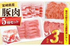 宮崎県産 豚肉 5種 セット (合計3kg) 国産 食品 豚バラ 切り落とし ロース スライス ミンチ 焼肉 BBQ しゃぶしゃぶ 生姜焼き とんかつ ソテー 豚丼 ハンバーグ 個包装 小分け おすすめ おかず お弁当 晩ご飯 手軽 便利 ギフト 贈り物 冷凍 日南市 送料無料_CC69-25