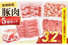 宮崎県産 豚肉 5種 セット (合計3.2kg) 国産 食品 豚バラ 切り落とし ロース スライス 焼肉 BBQ しゃぶしゃぶ 生姜焼き とんかつ ソテー 豚丼 野菜炒め 冷しゃぶ 個包装 小分け おすすめ おかず お弁当 晩ご飯 手軽 便利 ギフト 贈り物 冷凍 日南市 送料無料_CD73-25