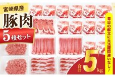 宮崎県産 豚肉 5種 セット (合計5kg) 国産 食品 ロース 豚バラ スライス 切り落とし ミンチ しゃぶしゃぶ 生姜焼き とんかつ ソテー 豚丼 ハンバーグ 餃子 個包装 小分け おすすめ おかず お弁当 晩ご飯 手軽 便利 ギフト 贈り物 冷凍 日南市 送料無料_DC33-25