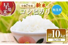 2週間以内に発送 無洗米 令和7年産 新米 コシヒカリ 計10kg 米 期間限定 宮崎県産 お米 ご飯 ライス 国産 人気 食品 精米 白米 こしひかり おにぎり お弁当 炊き込みご飯 雑炊 ギフト 贈り物 お取り寄せ 産地直送 宮崎県 日南市 送料無料_FA12-25