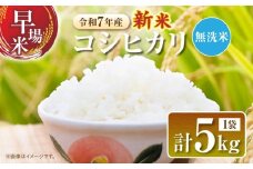 2週間以内に発送 無洗米 令和7年産 新米 コシヒカリ 計5kg 米 期間限定 宮崎県産 お米 ご飯 ライス 国産 人気 食品 精米 白米 こしひかり おにぎり お弁当 炊き込みご飯 雑炊 ギフト 贈り物 お取り寄せ 産地直送 宮崎県 日南市 送料無料_CA80-25