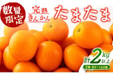先行予約 完熟きんかん たまたま 計2kg以上 (1kg×2箱) 希少 期間限定 数量限定 フルーツ 果物 くだもの 柑橘 金柑 国産 食品 大粒 宮崎ブランド おすすめ デザート おやつ ギフト 贈り物 贈答 お返し お祝い おすそ分け 産地直送 日南市 送料無料_BC103-24