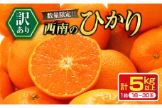 年内お届け 先行予約 訳あり 西南のひかり 計5kg 希少 期間限定 数量限定 みかん オレンジ フルーツ 果物 くだもの 柑橘 国産 食品 デザート おやつ みかんジュース フルーツサンド おすそ分け 家庭用 自宅用 おすすめ 宮崎県 日南市 送料無料_BA82-24