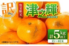 先行予約 訳あり 津之輝 つのかがやき 5kg以上 (5kg×1箱) 希少 期間限定 数量限定 フルーツ 果物 くだもの 柑橘 みかん 令和8年発送 国産 食品 おすすめ デザート おやつ みかんジュース フルーツサンド ご家庭用 おすそ分け 宮崎県 日南市 送料無料_BB86-23