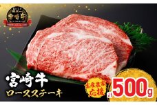 【令和7年12月配送】【畜産農家応援】配送月が選べる 宮崎牛 ロースステーキ (250g×2枚) 500g 肉 牛肉 黒毛和牛 ロース ステーキ サーロイン リブロース 和牛 国産 焼肉 BBQ 人気 おすすめ ギフト 贈り物 贈答 お祝い ミヤチク ブランド牛 宮崎 日南市 送料無料_CC66-25-12