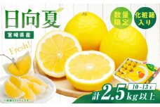 先行予約 日向夏 計2.5kg以上 化粧箱入り 期間限定 数量限定 果物 フルーツ くだもの 柑橘 みかん 令和8年発送 ジュース フルーツサンド おやつ デザート 国産 食品 おすすめ ギフト 贈り物 贈答 おすそ分け お祝い お返し 宮崎県 日南市 送料無料_B216-23