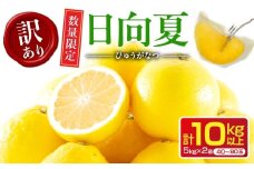 先行予約 訳あり 日向夏 計10kg以上 期間限定 数量限定 果物 フルーツ くだもの 柑橘 みかん 令和8年発送 ジュース フルーツサンド おやつ デザート 国産 食品 おすすめ バラ詰め おすそ分け ご家庭用 手土産 宮崎県 日南市 送料無料_D114-25