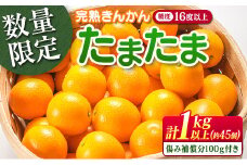 糖度16度以上 数量限定 完熟 きんかん たまたま 計1kg以上 傷み補償分付き 宮崎 期間限定 フルーツ 果物 くだもの ブランド 金柑 柑橘 令和8年発送 化粧箱入り 国産 食品 人気 おすすめ ギフト 贈り物 贈答 ご褒美 お祝い おすそ分け 日南市 送料無料_B215-23