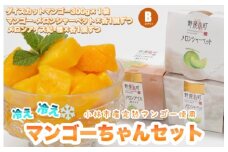 【いつでも完熟マンゴー！】冷え冷えマンゴーちゃん（スイーツ デザート マンゴー 完熟マンゴー 冷凍マンゴー アイス シャーベット カットマンゴー）
