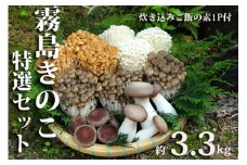 【農場直送】もぎたて霧島きのこと炊き込みご飯の素セット 約3.3kg（えのき茸 エリンギ ブナしめじ しめじ やしゃ茸 生きのこ 農場直送）