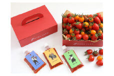 香TOMATOスペシャリテBOX<OGAWA　FARM>