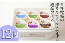 【大人気！】搾りたてミルクのアイスセット 12個（アイス スイーツ デザート 乳製品 生乳 牛乳 カップアイス 小分け 人気 地域限定 宮崎 小林市）