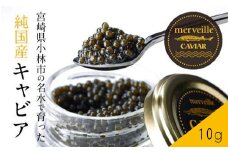 【定期便：年12回】【純国産宮崎キャビア】メルベイユキャビア 120g <10g×12回>