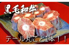 【黒毛和牛専門店直送】黒毛和牛テール 1本　約1㎏（国産 牛肉 希少部位 ビーフシチュー）