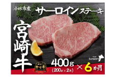 【定期便・全6回】小林市産宮崎牛特選サーロインステーキ（200g×2枚×6ヶ月）（国産 牛肉 国産牛 和牛 黒毛和牛 赤身 サーロイン ステーキ 焼肉）
