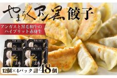 【アンガスと黒毛和牛のハイブリッド赤身牛】アン黒牛餃子　48個