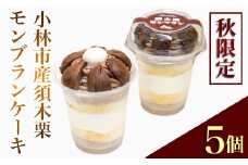 【秋限定】小林市産須木栗モンブランケーキ（栗 モンブラン マロン ケーキ スイーツ 旬 限定）