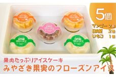 【果実たっぷりアイスケーキ】みやざき果実のフローズンアイス