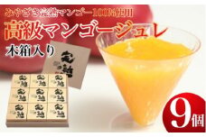 【宮崎マンゴー使用】高級マンゴーゼリー木箱入（9個入）