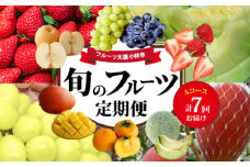 【先行予約！フルーツ定期便：全7回】こばやし季節のフルーツ Aコース（ フルーツ 定期便 果物 定期便 フルーツ定期便 果物定期便 春フルーツ 夏フルーツ 秋フルーツ 冬フルーツ 果物先行受付 国産 人気フルーツ シャインマスカット マンゴー いちご メロン 梨 柿 数量限定 産地直送 ）