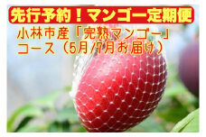 【先行予約！マンゴー定期便・全２回】小林市産「完熟マンゴー」コース（５月、７月）（定期便 フルーツ フルーツ定期便 2024 マンゴー 完熟マンゴー 先行予約 太陽のタマゴ 宮崎 小林市 果物 人気）