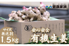 【オーガニック】有機生姜 1.5kg（しょうが ショウガ 有機JAS 野菜）