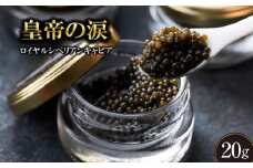 【純国産キャビア】ロイヤルシベリアンキャビア 20g 皇帝の涙 国産 チョウザメ 魚卵 宮崎県