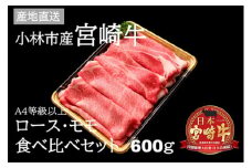 【黒毛和牛専門店直送】A5等級 小林市産宮崎牛ロース＆モモすき焼き用 600g（国産 牛肉 宮崎牛 黒毛和牛 すき焼き 内閣総理大臣賞）