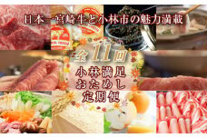 【定期便・全11回】日本一宮崎牛と小林市の魅力満載！！小林満足おためし定期便　20万円コース（国産 牛肉 国産牛 和牛 黒毛和牛 フルーツ お菓子  豚肉 鶏肉  キャビア 定期便）