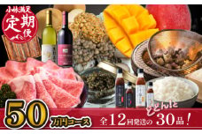 【定期便・全12回30品】日本一宮崎牛と小林市の魅力満載!!!!小林満足スペシャル定期便 50万円コース（国産 牛肉 国産牛 和牛 黒毛和牛 キャビア シャインマスカット マンゴー 完熟マンゴー フルーツ 果実 くだもの 豚肉 鶏肉 定期便）