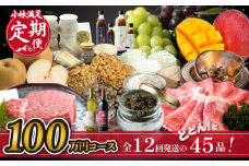 【定期便・全12回45品】日本一宮崎牛と小林市の魅力満載!!!!!小林大満足プレミアム定期便 100万円コース（国産 牛肉 国産牛 和牛 黒毛和牛 シャインマスカット マンゴー 完熟マンゴー フルーツ 果実 くだもの キャビア 豚肉 鶏肉 定期便）