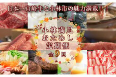 【定期便・全9回】日本一宮崎牛と小林市の魅力満載！！ 小林満足おためし定期便 10万円コース（国産 牛肉 国産牛 和牛 黒毛和牛 すき焼き フルーツ お菓子  豚肉 鶏肉 天然水 定期便）