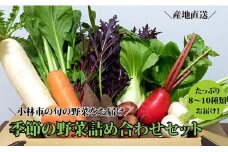 【自然が育む新鮮野菜】こばやし季節の野菜詰め合わせセット（野菜 詰め合わせ 産地直送 宮崎県 小林市）