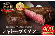 【限定・プレミアムシリーズ】厳選宮崎牛メス指定 A5等級シャトーブリアン 400g（200g×2枚） 国産 牛肉 国産牛 和牛 黒毛和牛 宮崎牛 ヒレ ヒレステーキ シャトーブリアン ステーキ A5