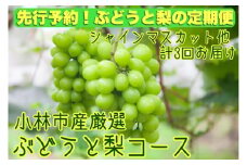 【先行受付！ぶどうと梨の定期便】フルーツ農園もぎたて直送！小林市産厳選ぶどうと梨コース（定期便 フルーツ フルーツ定期便 2025 シャインマスカット 先行予約 宮崎 果物）
